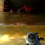 EMBODYING RECONCILIATION MUSEUM